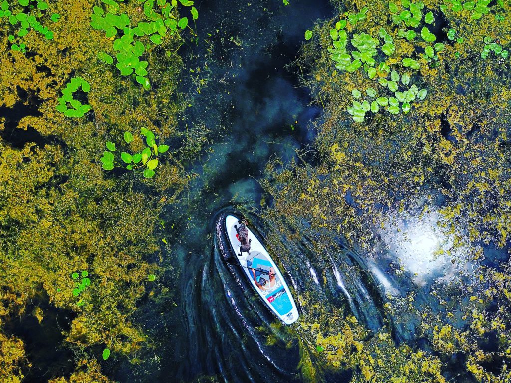 austin paddleboarding