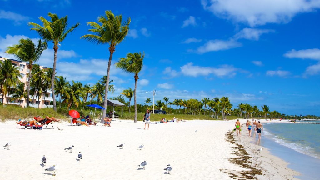 Key West Paddleboarding: 13 Magical Spots- Paddleboard Insiders