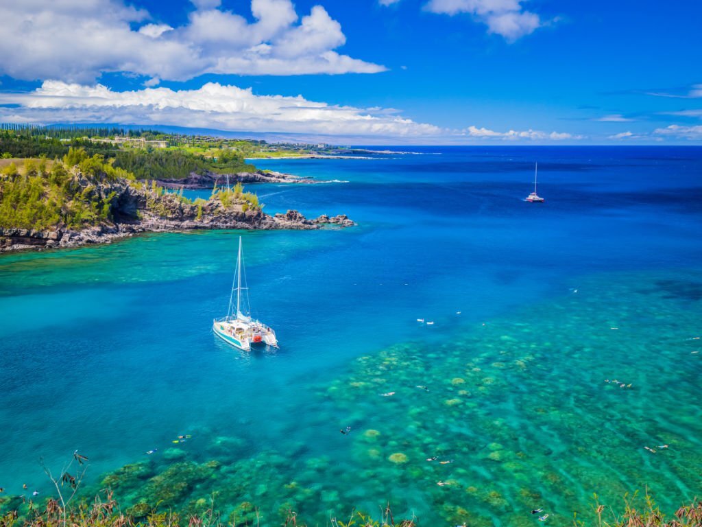 maui paddleboarding
