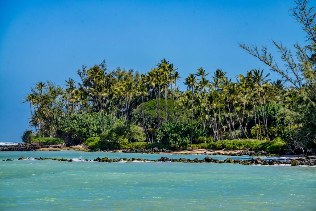 maui paddleboarding