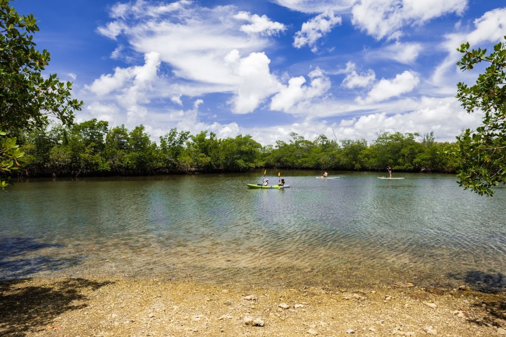 paddleboarding miami