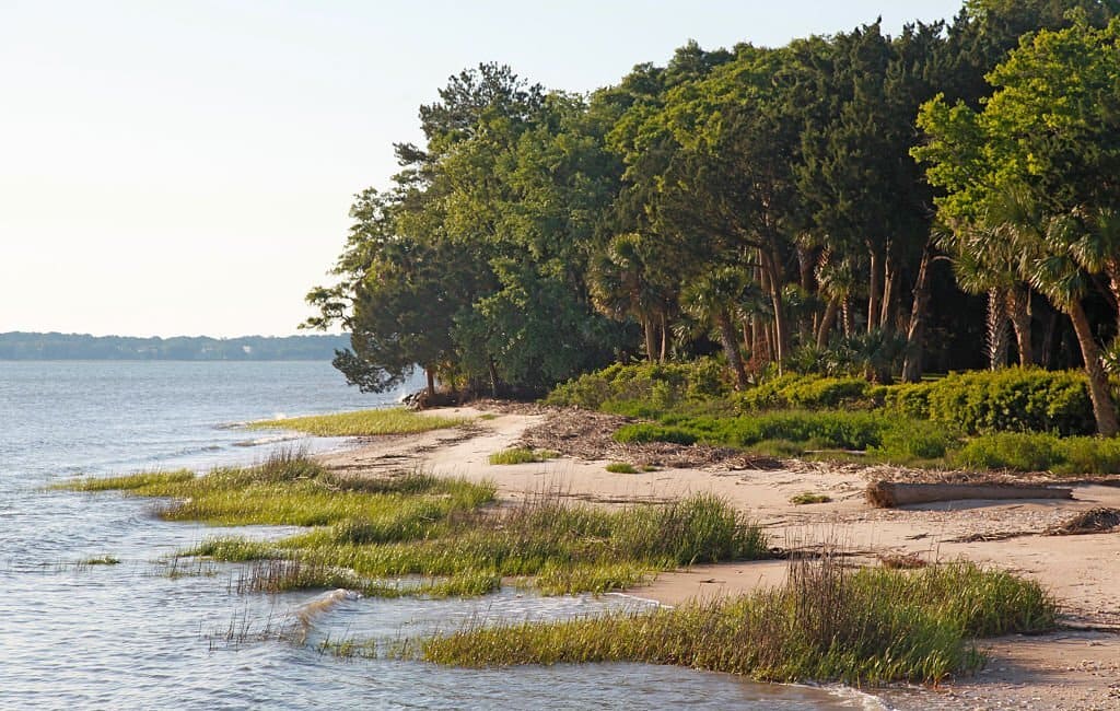 paddleboarding hilton head