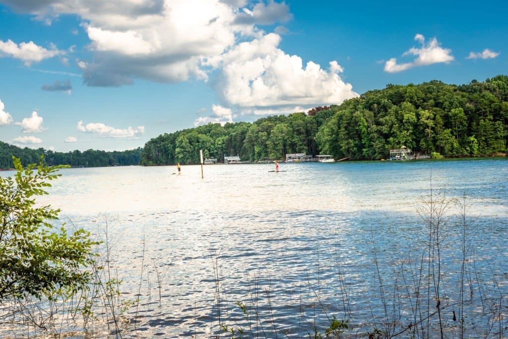 paddleboarding atlanta