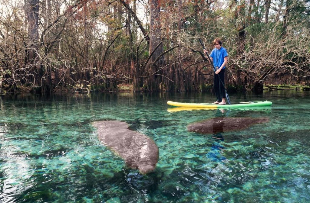 siesta key paddleboards
