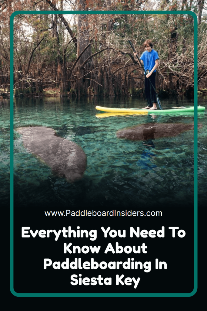 Siesta Key paddleboards