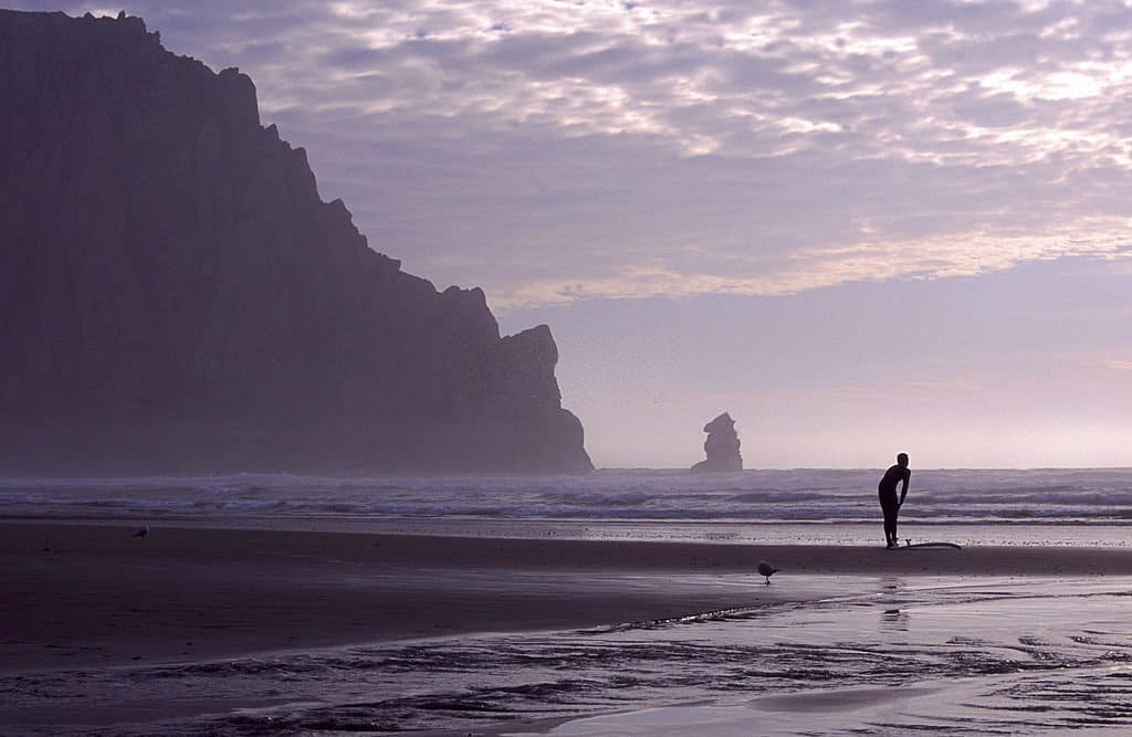 paddleboarding morro bay