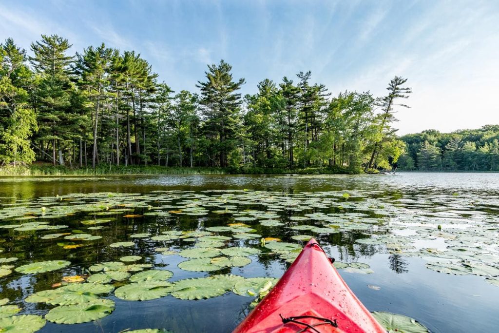 paddleboarding michigan