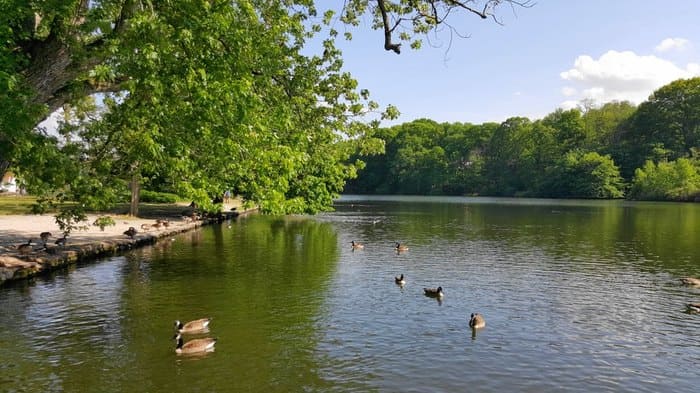 stony brook harbor kayak & paddleboard rentals