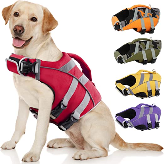 dog paddle board