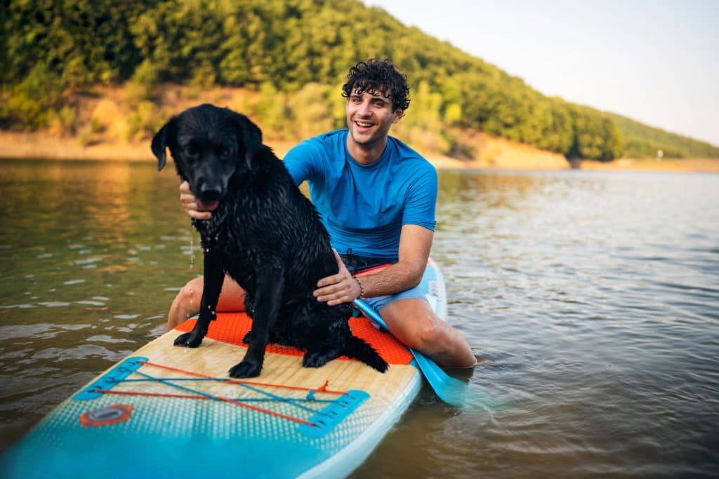 dog paddle board