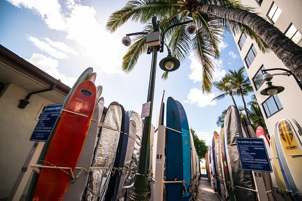 paddle board rental