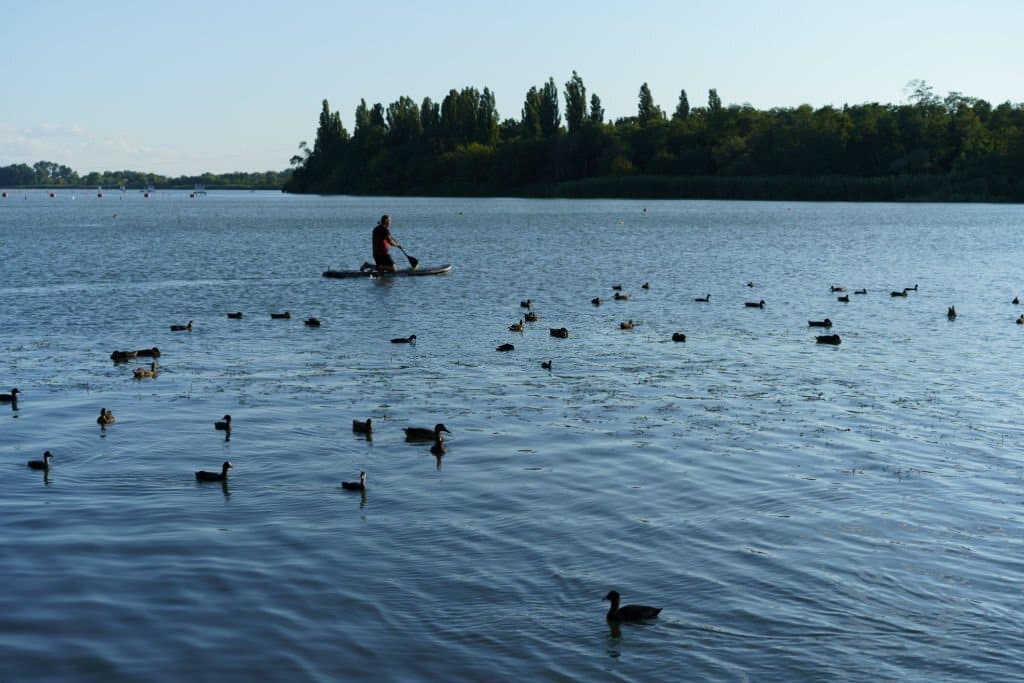 can you sit on a paddleboard