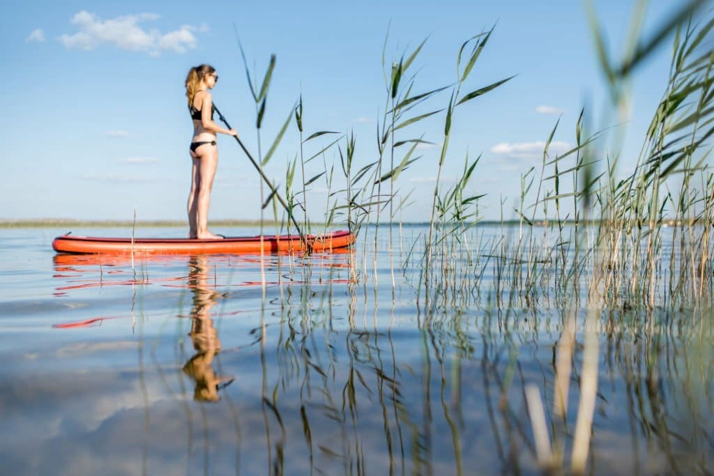 7 Best Places To Paddle Board In Myrtle Beach