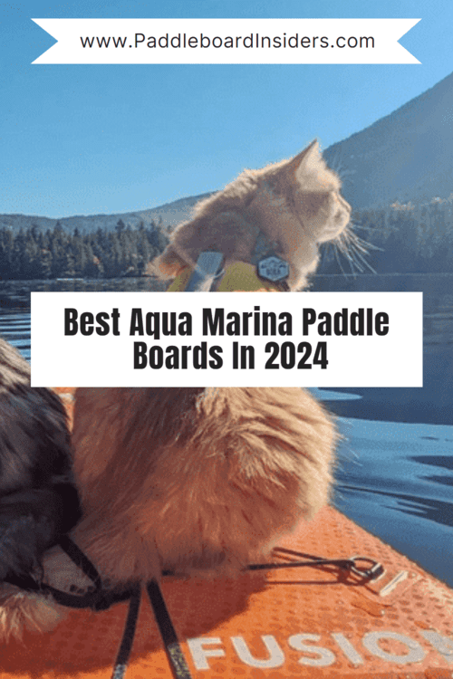 aqua marina paddle baord