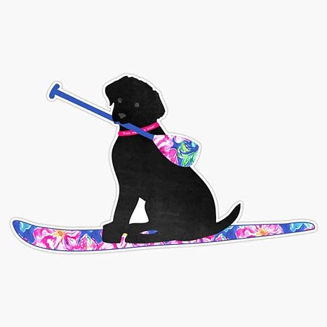 paddle board decals