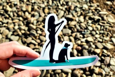 paddle board stickers